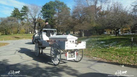 Our Caisson during a funeral.