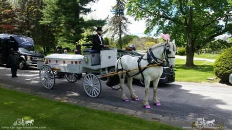 Horse Drawn Caisson Hearse during a funeral in Akron, OH