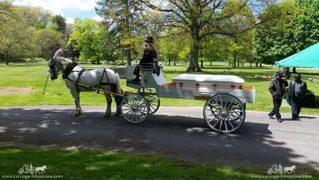 Horse Drawn Caisson Hearse during a funeral in Akron, OH