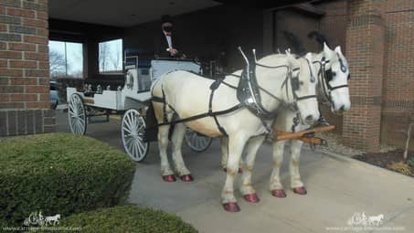Horse Drawn Caisson at a funeral in Akron, OH