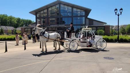 The Cinderella Carriage during a wedding entrance in Westlake, OH