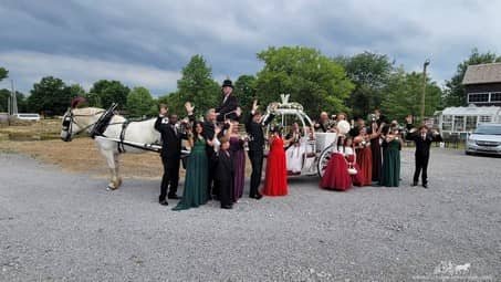 Our Cinderella Carriage during a wedding in Champion, OH