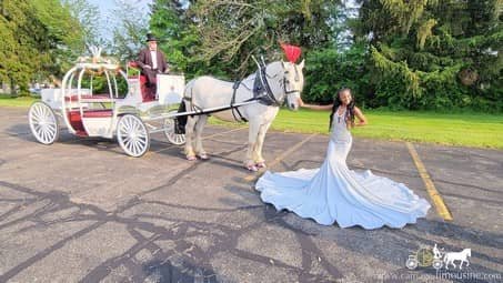 Our Cinderella Horse and Carriage making a grand entrance to a prom near Warren, OH