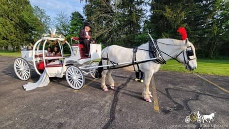 Our Cinderella Horse Drawn Carriage making a grand entrance to a prom near Warren, OH