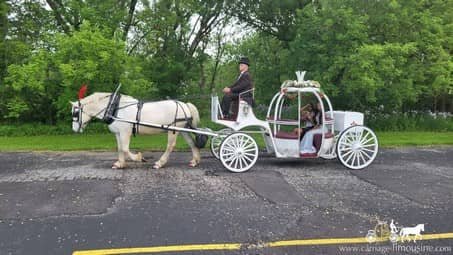 Our Cinderella Horse and Carriage making a grand entrance to a prom near Warren, OH