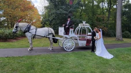 Cinderella Carriage after a wedding at Landoll's