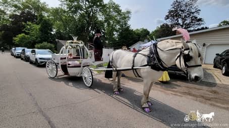 The birthday girl posing in our Cinderella Carriage in Columbiana, OH