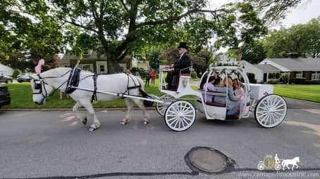 Giving some birthday party rides with our Cinderella Carriage in Columbiana, OH