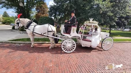 Newlyweds ready for their carriage ride after the ceremony in Bedford Heights, OH