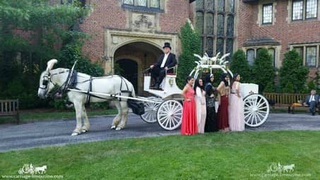 The bridal party poses for a picture at Stan Hywet in Akron, OH