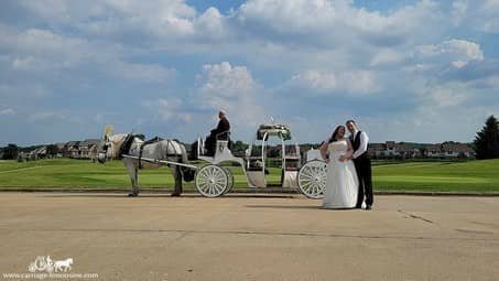 Cinderella Carriage and horse after a wedding ceremony in Stow, OH