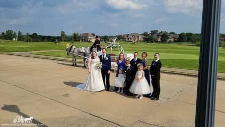 Cinderella Carriage with Percheron horse at a wedding reception in Stow, OH