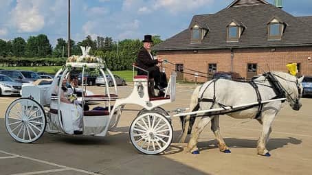 Cinderella Carriage after a wedding in Stow, OH