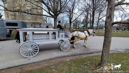 Our Horse Drawn Funeral Coach during a funeral in Cleveland, OH