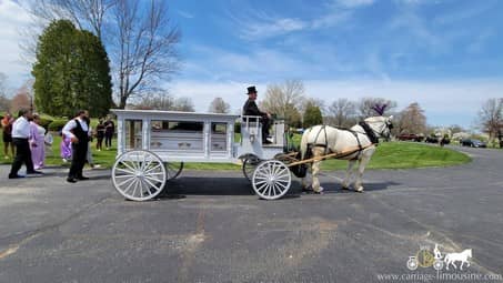 Our Horse Drawn Funeral Coach during a funeral in Canfield, OH