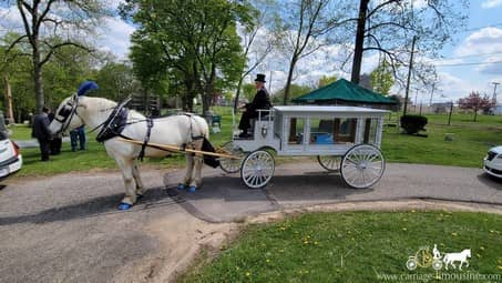 Our Horse Drawn Funeral Coach during a funeral in Akron, OH