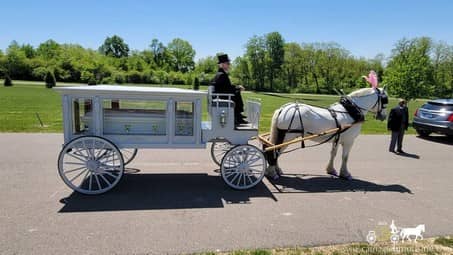 Our Horse Drawn Funeral Coach during a funeral in Youngstown, OH