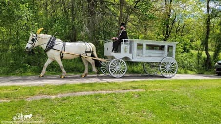 Our beautiful Funeral Coach at a cemetery in Monroeville, PA