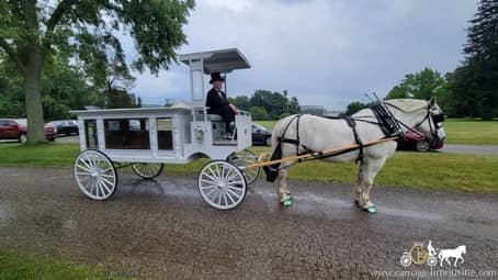 Horse-drawn Funeral Coach with driver at a funeral in Twinsburg, OH
