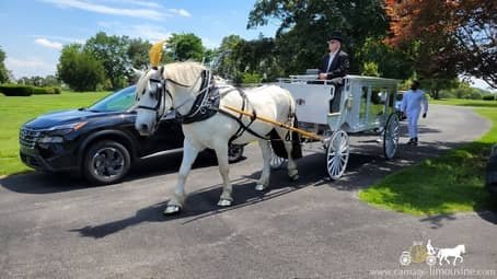 Horse-drawn Funeral Coach at a cemetery outside of Akron, OH