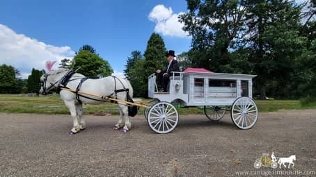 Horse-drawn Funeral Coach at a cemetery in Canton, OH