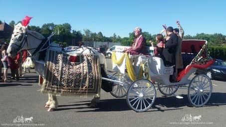 Our Indian Wedding Horse & Carriage during during the Baraat near Cleveland, OH