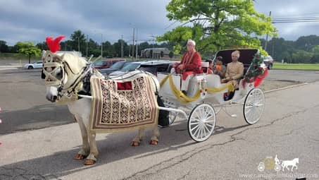 Indian Wedding Carriage during a Baraat in Richfield, OH