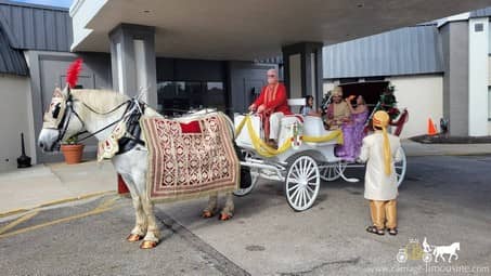 Indian Wedding Carriage during a Baraat in Richfield, OH