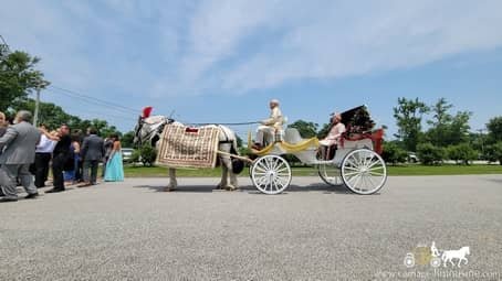 Our Indian Carriage during a baraat in Chesterland, OH
