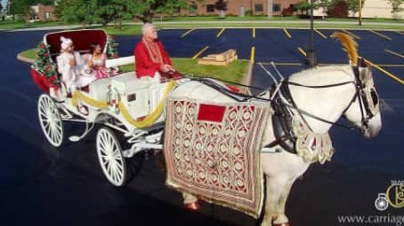 Indian Wedding Carriage at the SV Temple in Monroeville PA