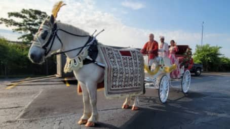 Indian Wedding Carriage at the SV Temple in Monroeville PA