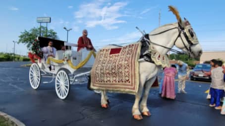 Indian Wedding Carriage at the SV Temple in Monroeville PA