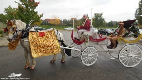 The groom in our Indian Baraat Carriage at La Centre in Westlake, OH