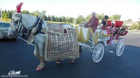 The groom  and family in our Indian Baraat Carriage at La Centre in Westlake, OH
