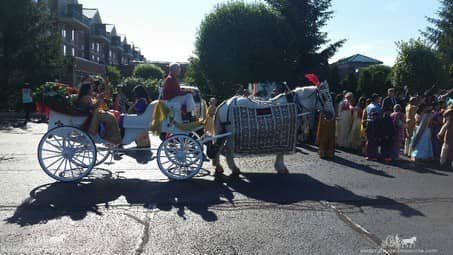 The groom and his family in our Indian Baraat Carriage in Canonsburg, PA