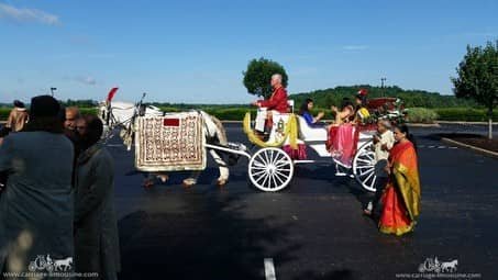 The groom and his family in our Indian Baraat Carriage in Canonsburg, PA