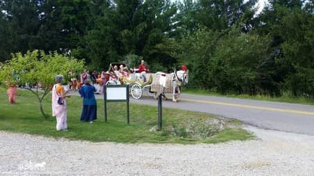 Indian Wedding Carriage during a Baraat at the Palace of Gold near Moundsville, WV