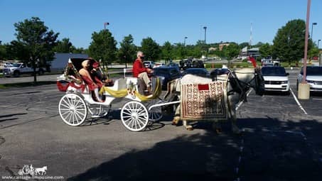 Our Indian Carriage during a Baraat outside of Cleveland, OH
