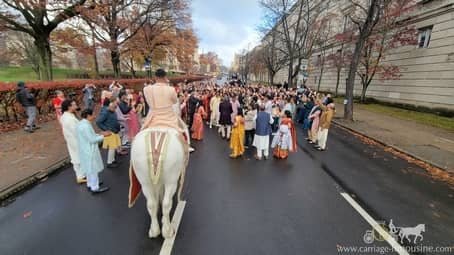 Baraat wedding horse adorned for an Indian wedding at Heinz Memorial Chapel in Pittsburgh, PA