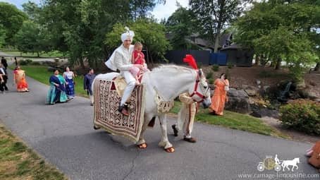 Baraat horse during an Indian wedding procession at Firestone Country Club in Akron, OH