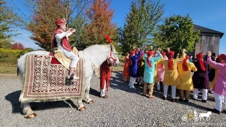 Indian wedding baraat horse during the procession at 1885 Farms in Navarre, OH