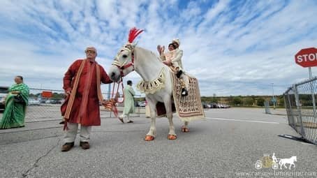 Baraat wedding horse during an Indian wedding procession at Pittsburgh International Airport in Moon Township, PA