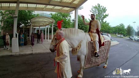 Indian Wedding Horse during a Baraat procession in Westlake, OH