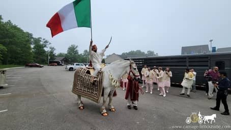 Baraat Horse at the start of the procession in Geneva-on-the-Lake, OH