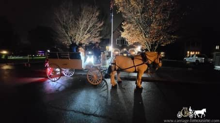 The bride in the Limousine Carriage before her wedding at Seven Springs