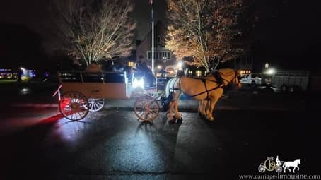 The Limousine Carriage giving rides near Sewickley, PA