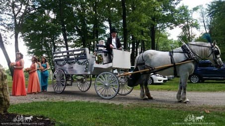 The Limousine Carriage bringing in the bridal party at Seven Springs