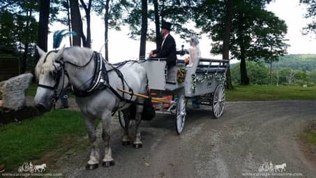 The bride in the Limousine Carriage before her wedding at Seven Springs