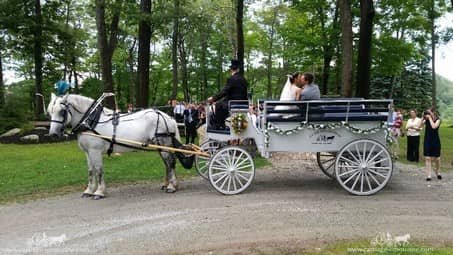 The bride and groom after the wedding at Seven Springs