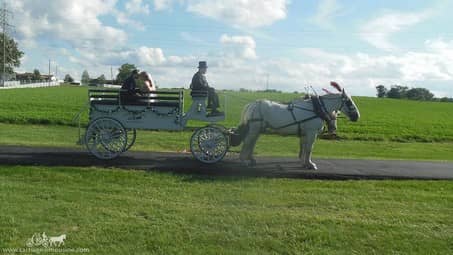 Our Limousine Carriage after a wedding